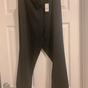 NWT Loft Navy Pant